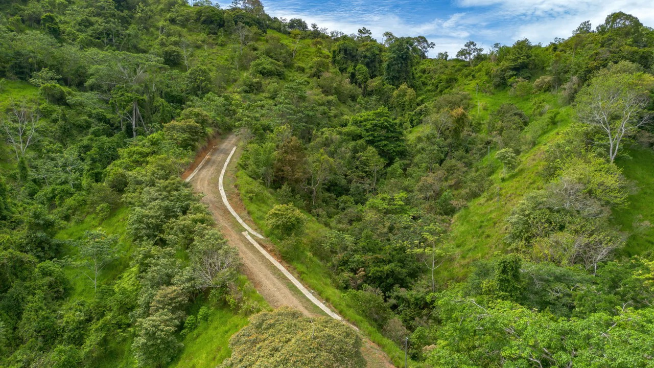 60+ Hectares in Platanillo | Own Your Own Mountain in Costa Rica - Gallery image 16