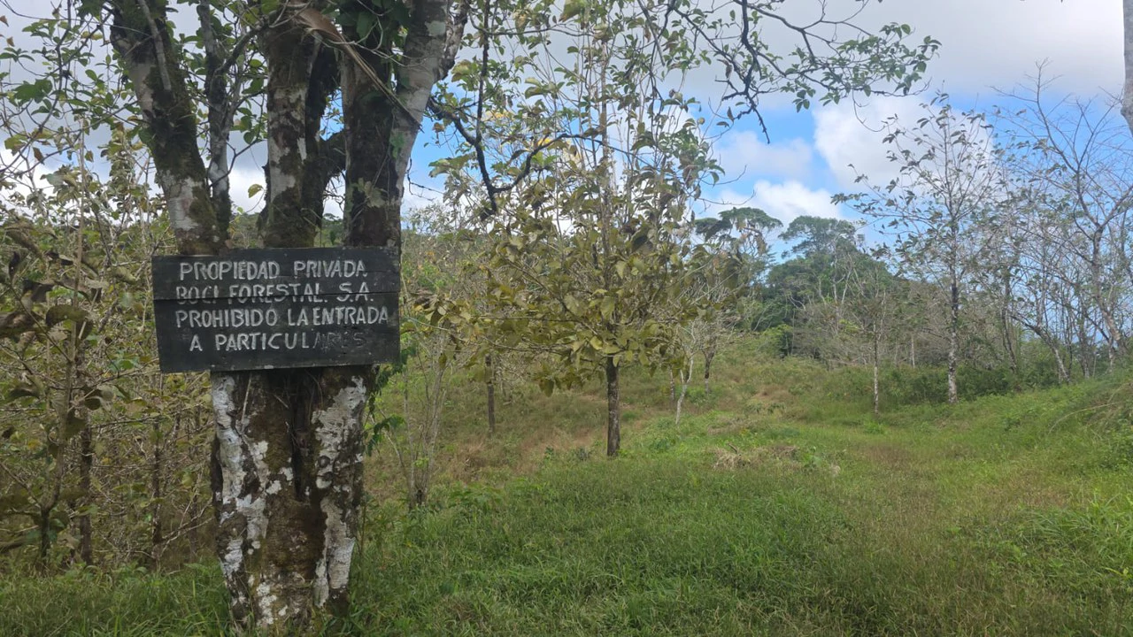 Expansive Year-Round Green Agricultural Property with Rolling Hills and a River – One Hour from Liberia - Gallery image 4