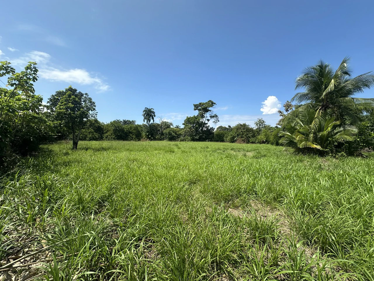 Development Parcel For Sale in Portalon - Gallery image 15