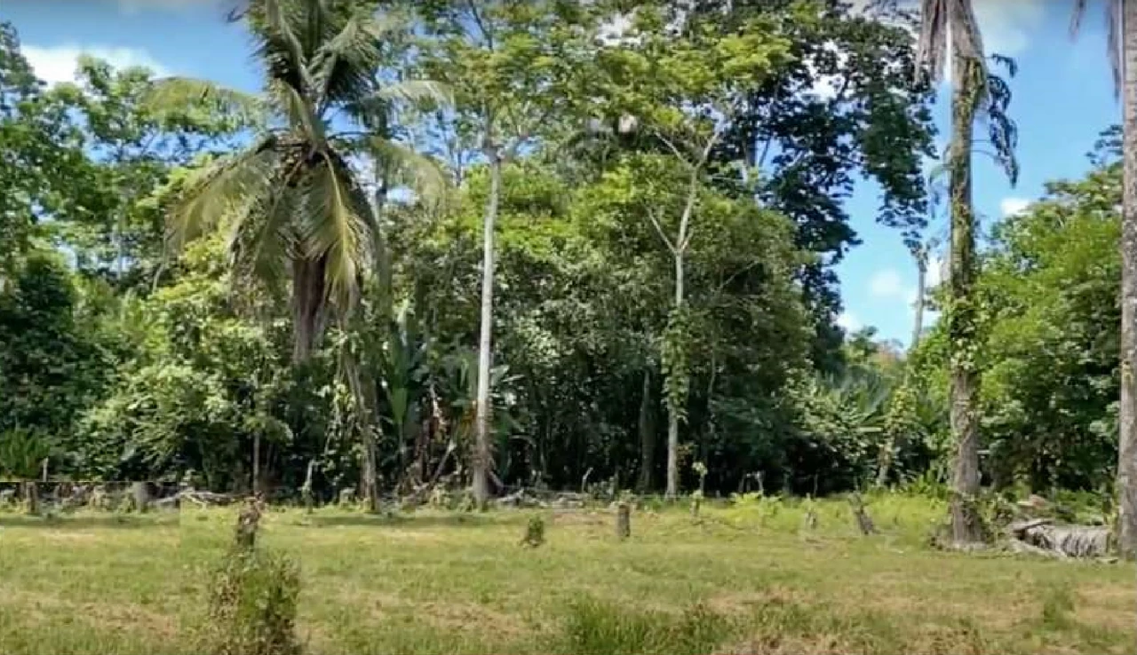 Westfalia, Matama: Countryside and Near the Coast Home Construction Site For Sale in Beverley - Gallery image 7
