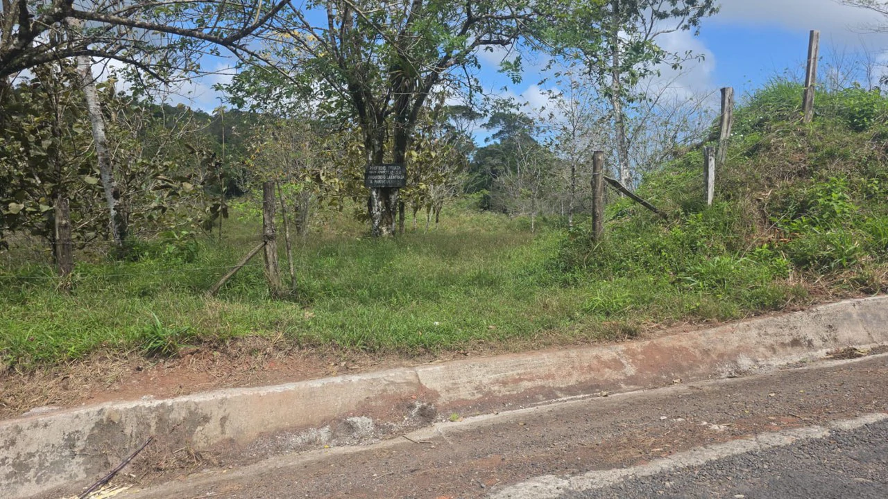 Expansive Year-Round Green Agricultural Property with Rolling Hills and a River – One Hour from Liberia - Gallery image 3
