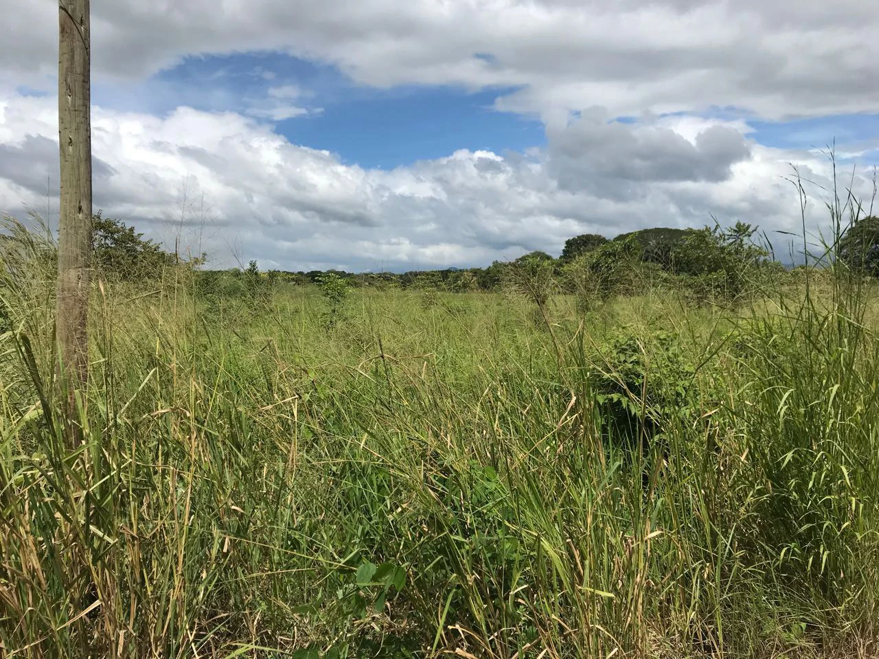 Property near Liberia and Discovery Park - Gallery image 9