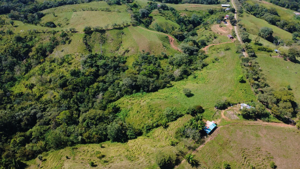 8HA EN VENTA, UBICADA EN BUENOS AIRES, PUNTARENAS.: Countryside Home Construction Site For Sale in Buenos Aires - Gallery image 6