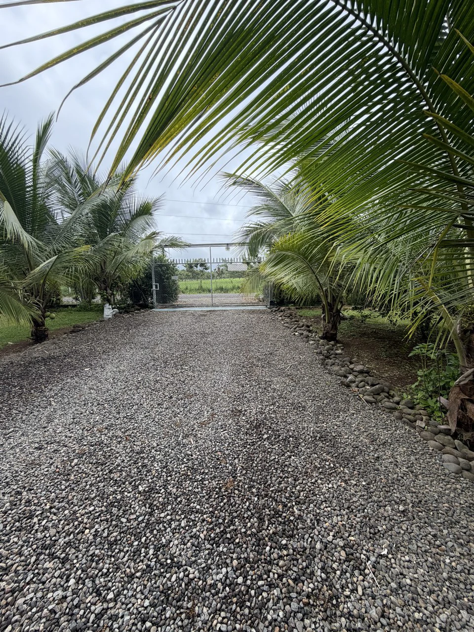 Country house with fruit trees for sales Upala Costa Rica - Gallery image 13