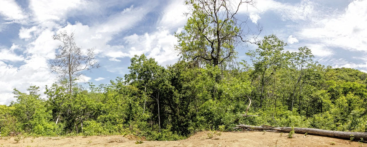 GRAN OPORTUNIDAD: GREAT OPPORTUNITY. Property of 48.3 hectares adjacent to the Hotel Riu - Gallery image 2