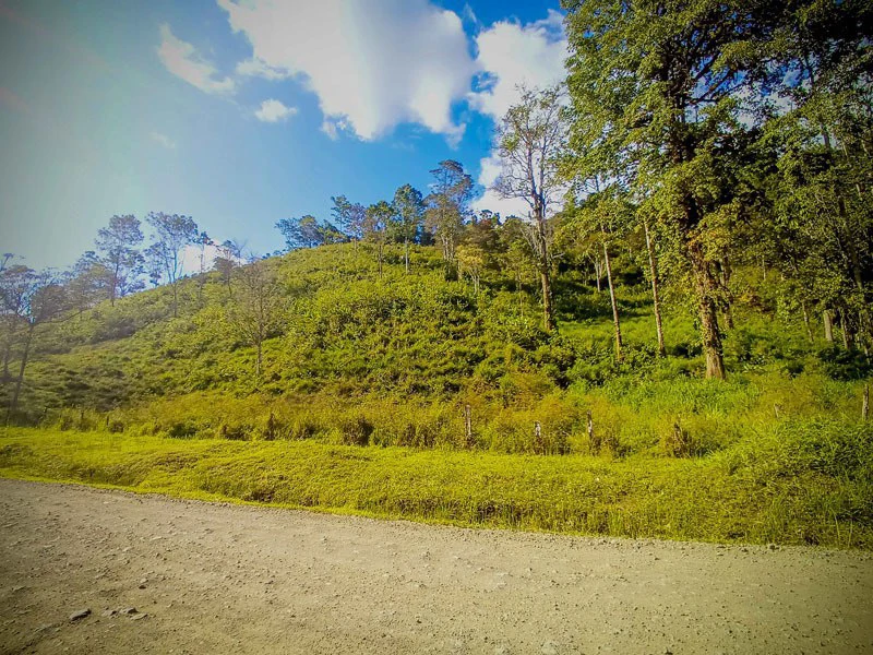 Ocean View & Primary forest 55-ha Rincon de Osa - Gallery image 16