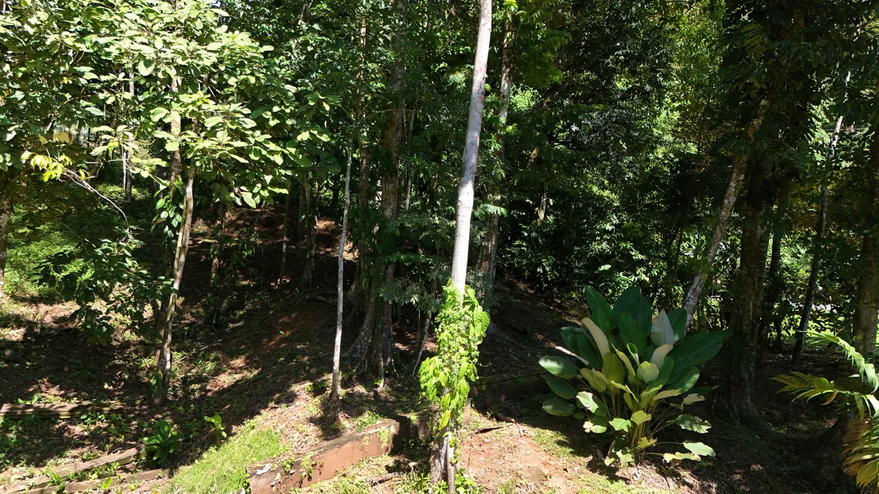 Private Beach Community | 1,708 m² Build-Ready Lot in Ballena - Gallery image 9
