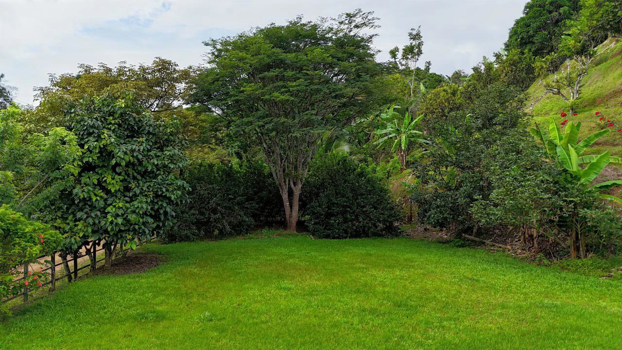Charming Hardwood Cabin with Fruit Garden Near San Isidro - Gallery image 59
