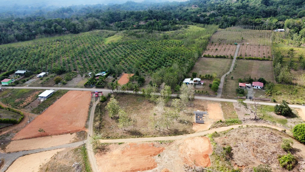 Prime Investment & Development Land with 4x2 Access – Central Pacific, Costa Rica - Gallery image 3