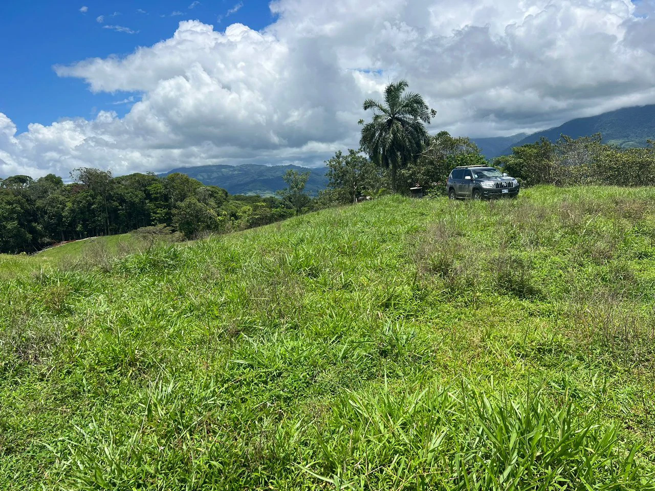 47 ACRES – Beautiful Mountain View Farm With Many Water Sources and Many Building Areas!!!! - Gallery image 2