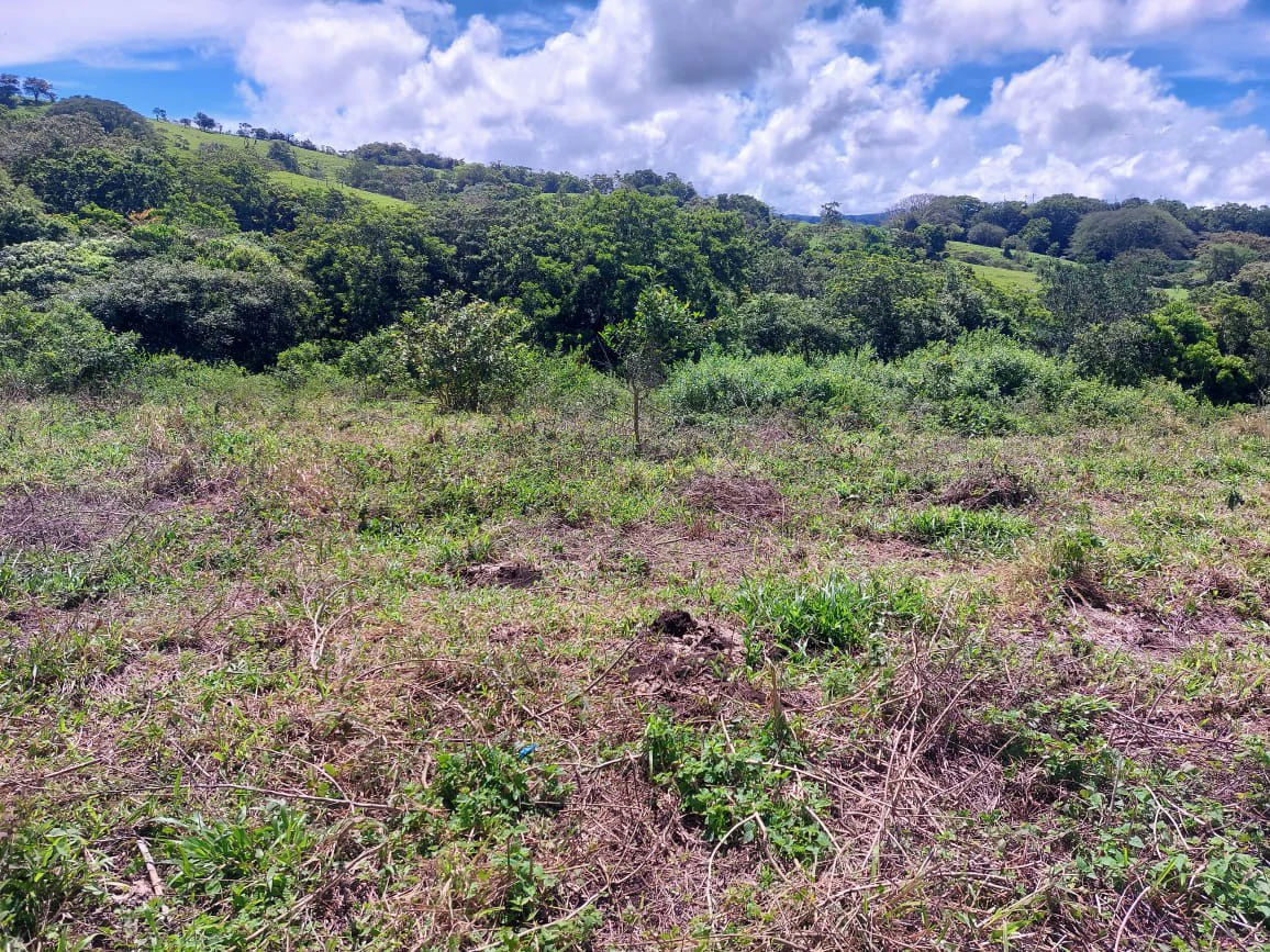 FINCA LA TEJONA - Gallery image 7