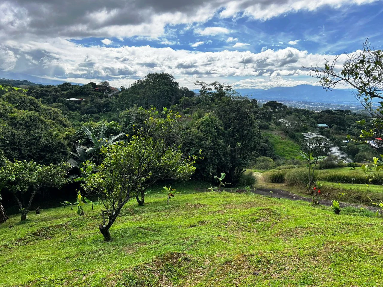 Hillside Wonder...: Premium City View Homesite Ready to build! - Gallery image 6
