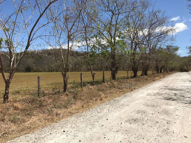 Huge terrain for sale in Guardia close to the International Airport of Liberia - Gallery image 21