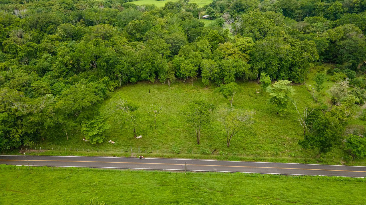 Exceptional Nearly 3-Hectare Property in Pueblo Nuevo, Bejuco, Guanacaste - Gallery image 3