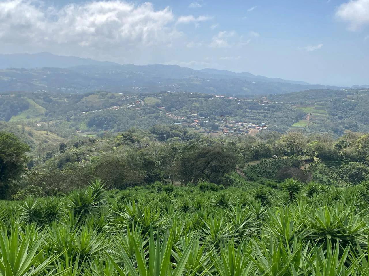 Farm with Exceptional Potential for Sale in San Ramón, Alajuela - Gallery image 7