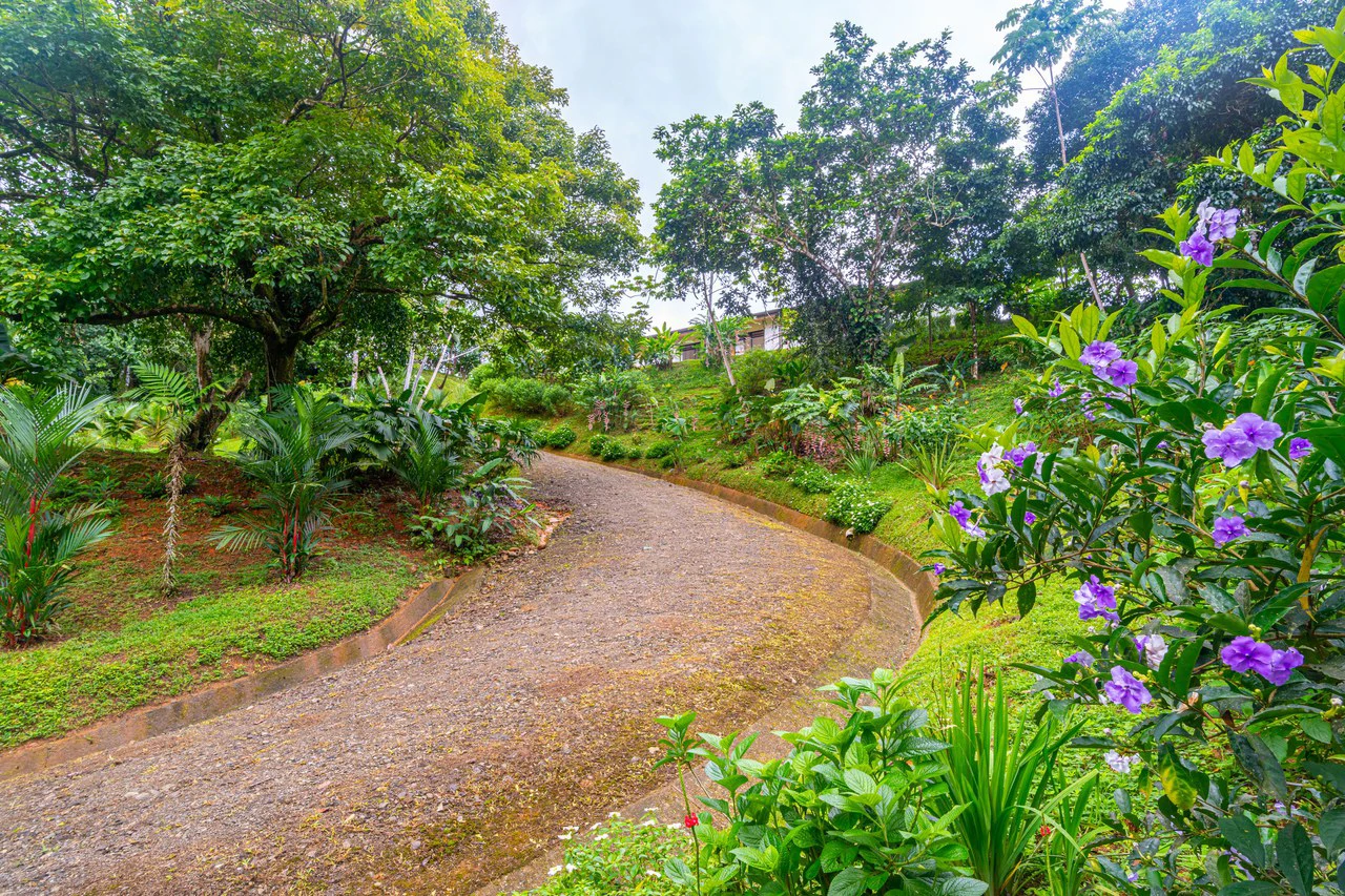 Cascada Sandalo Jaw Dropping Ocean Views!: Mountain House For Sale in Tres Rios - Gallery image 30