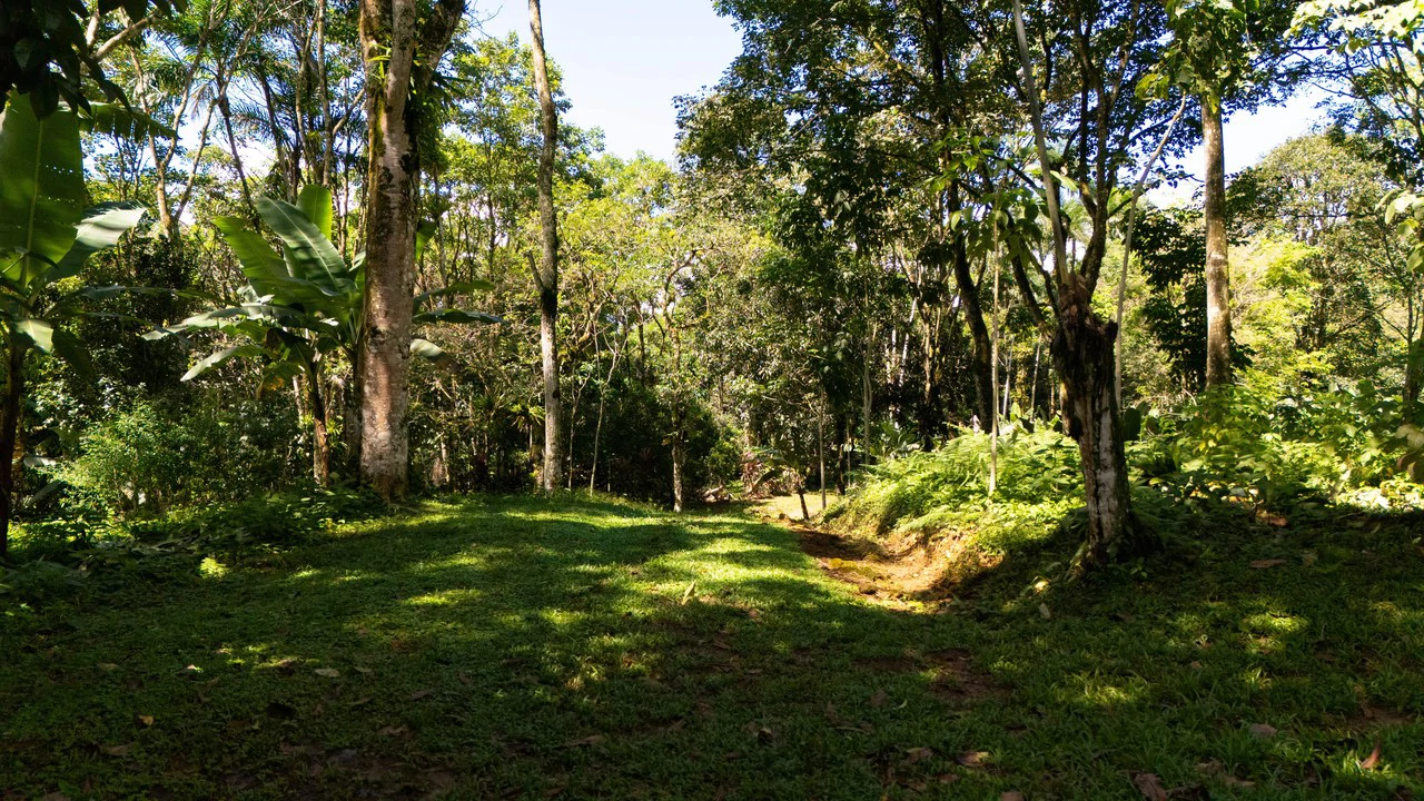 Mountain Home Construction Site For Sale in Centro de Pérez Zeledón - Gallery image 2