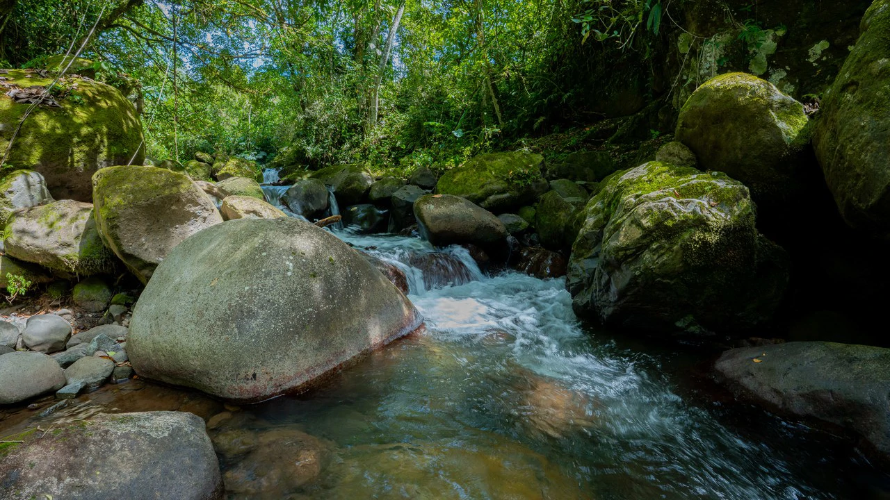 Riverfront Mushroom Farm & Private Waterfall Residence in Orosi - Gallery image 50