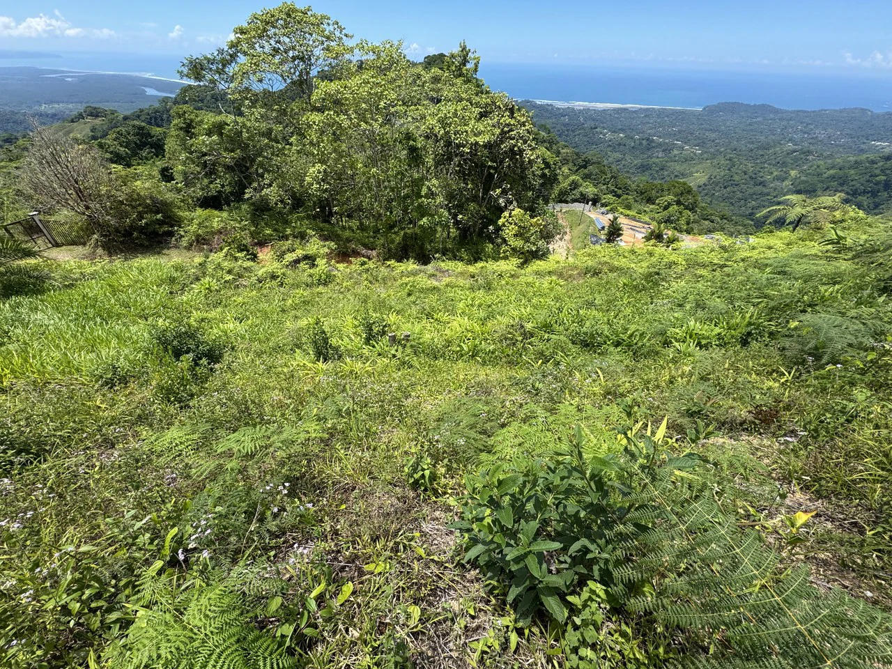 Ocean View Homesite with Panoramic Coastline Vistas in Ojochal - Gallery image 9