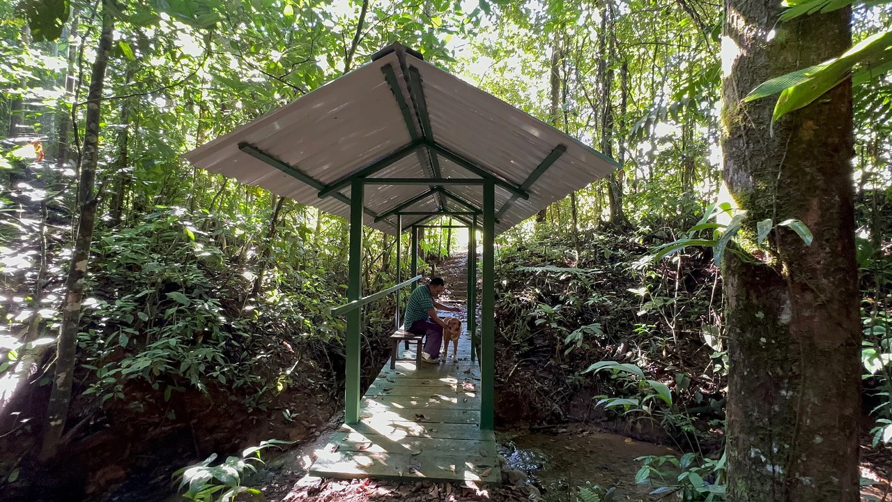Sustainable Living Farm to Table with Home, Guest House ,Tinamastes on the River - Gallery image 5