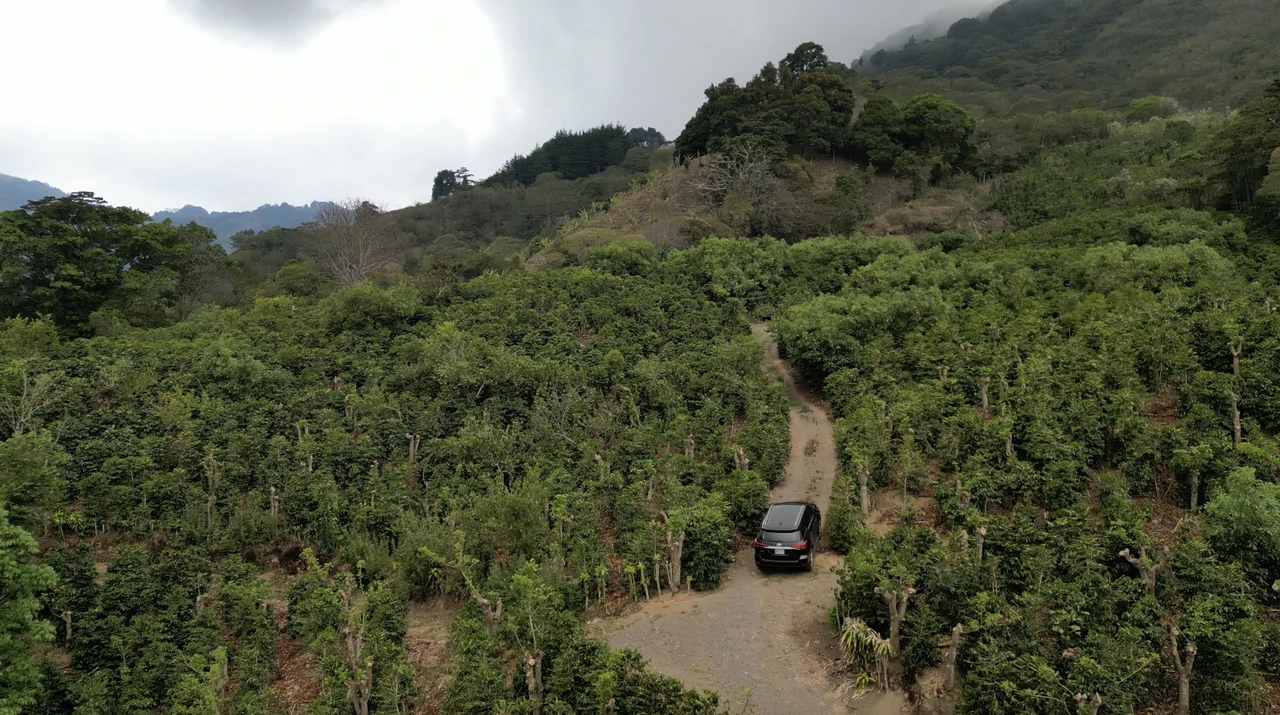 Copey Dota: Coffe farm for Sale in Copey de Dota