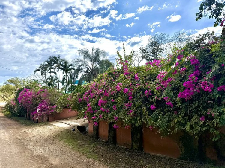 Villa Flores:   Brand new build in upcoming Villas del Mar neighbourhood.  $399,000 USD - Gallery image 32