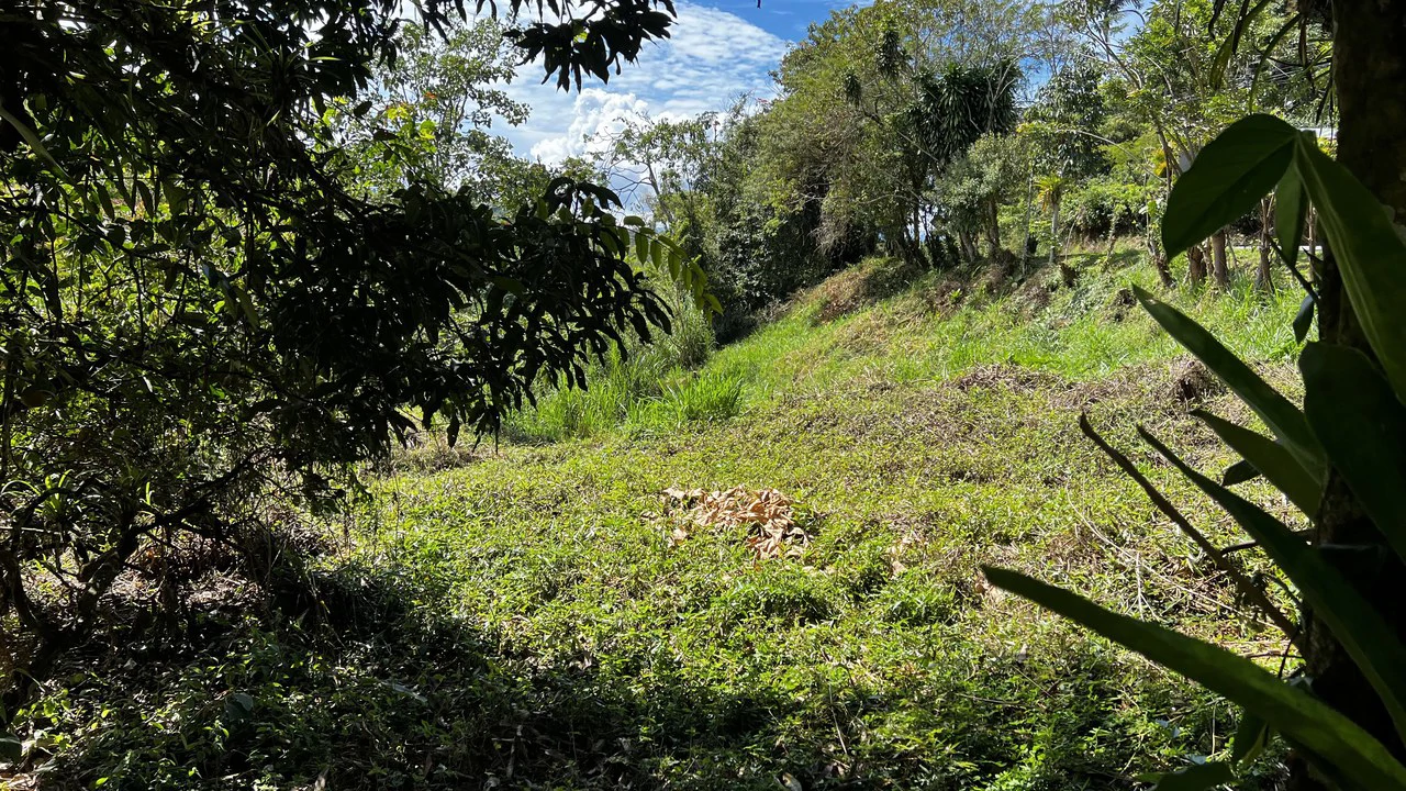 Mountain Home Construction Site For Sale in San Isidro del General - photo 8