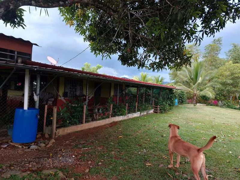 Livestock Farm | Titled property located in Santa Eduviges - Gallery image 12