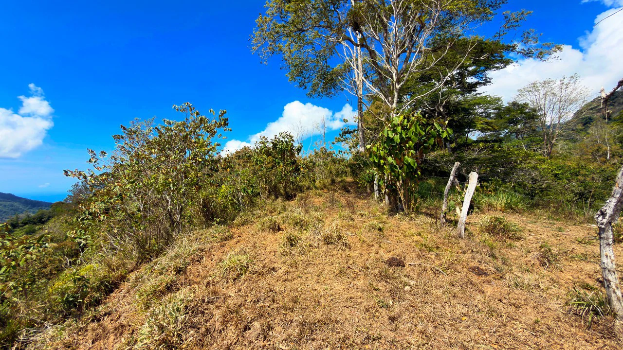 2.8 HA FARM FOR SALE IN SAN LUIS DE MORETE | MOUNTAIN VIEWS AND NEAR THE OCEAN - Gallery image 5