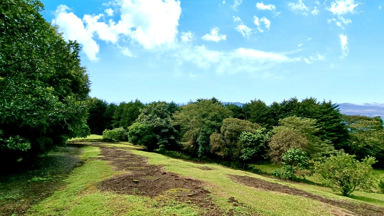 Farm for sale in Santa Barbara de Heredia - Gallery image 26