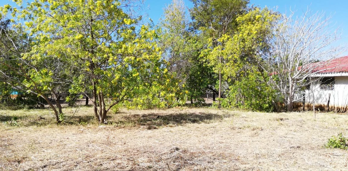 Property in Coco Beach - Gallery image 8
