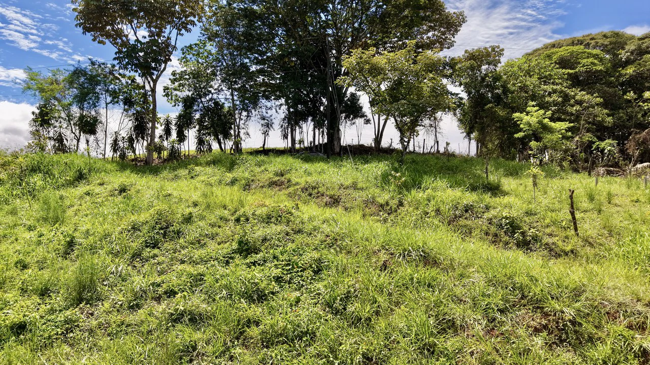 Countryside Home Construction Site For Sale in Buenos Aires - photo 3