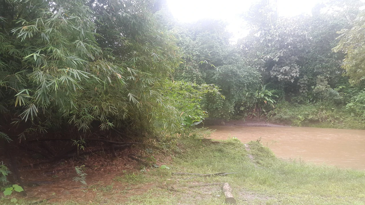 Countryside Development Parcel For Sale in Cariari - Gallery image 16