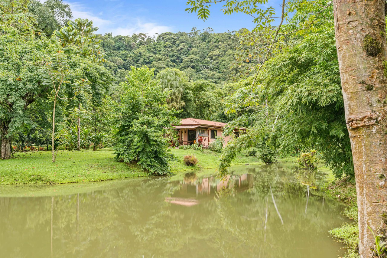 Finca Mei Tai: Enchanting property! Don't miss your chance to own a piece of paradise! - Gallery image 24