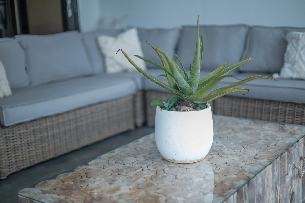 Casa Blanca: Ocean & Mountain View Home in Platanillo - Gallery image 32