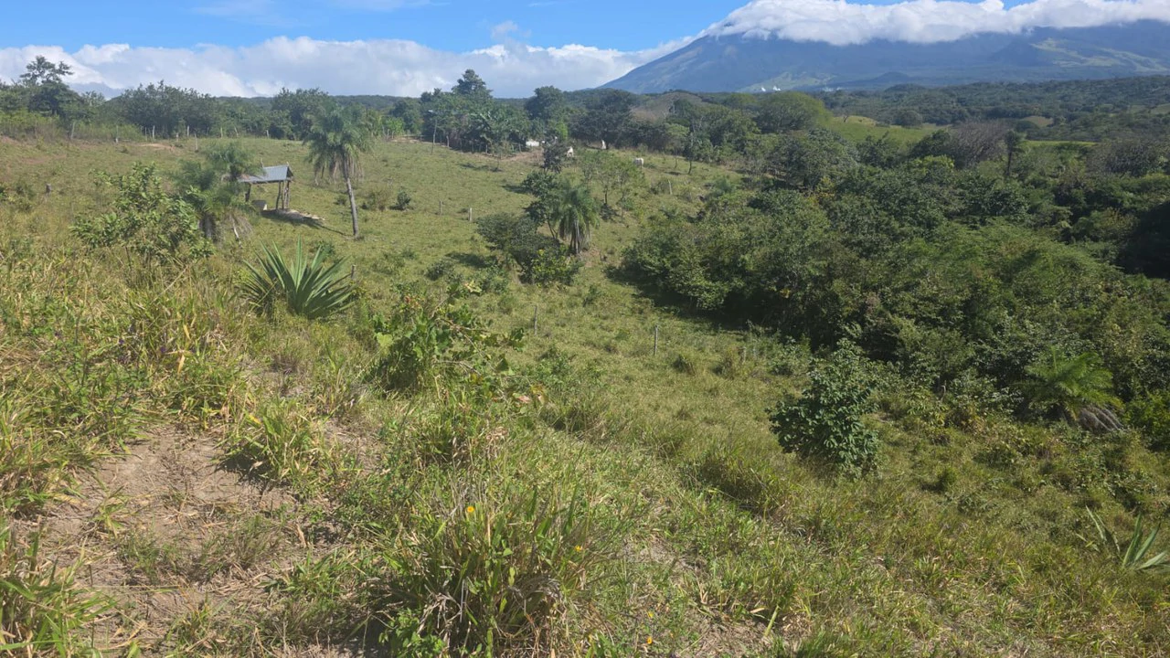 Mountain Property for Sale with charming 360º views of Guayabos Valley and the Volcanoes - Gallery image 49