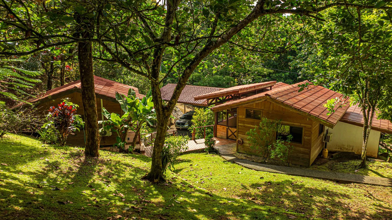 A Jungle House Built of Wood & River Dreams - Gallery image 6