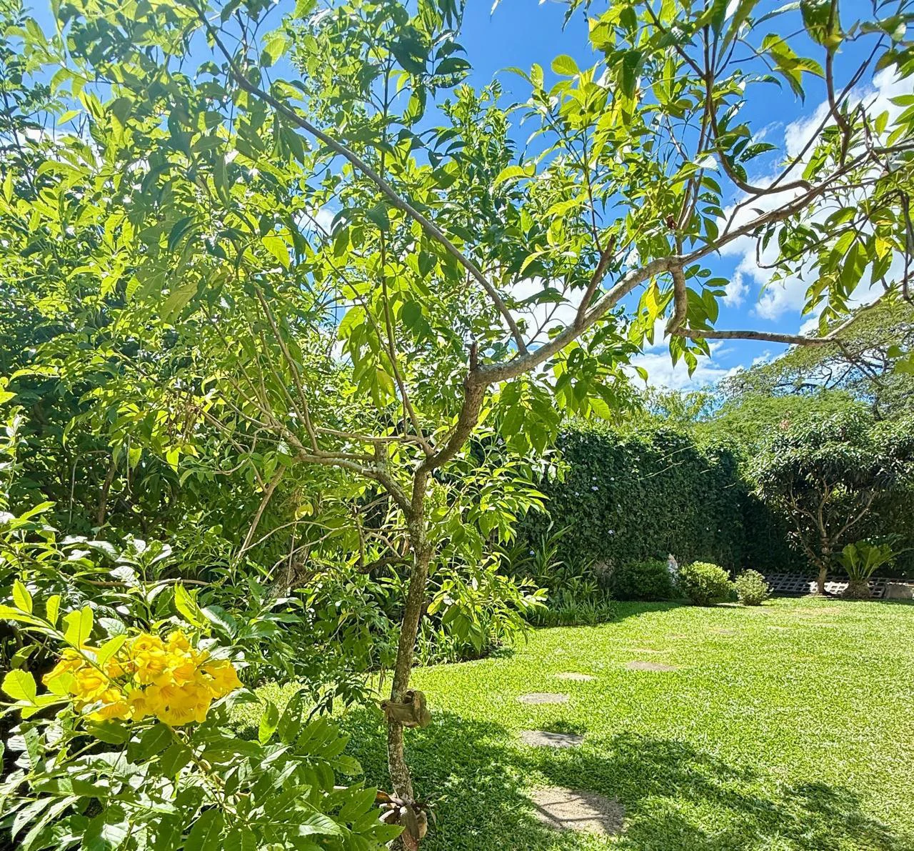 House for Sale in Exclusive Gated Community with Spacious Garden Santa Ana Costa Rica - Gallery image 11