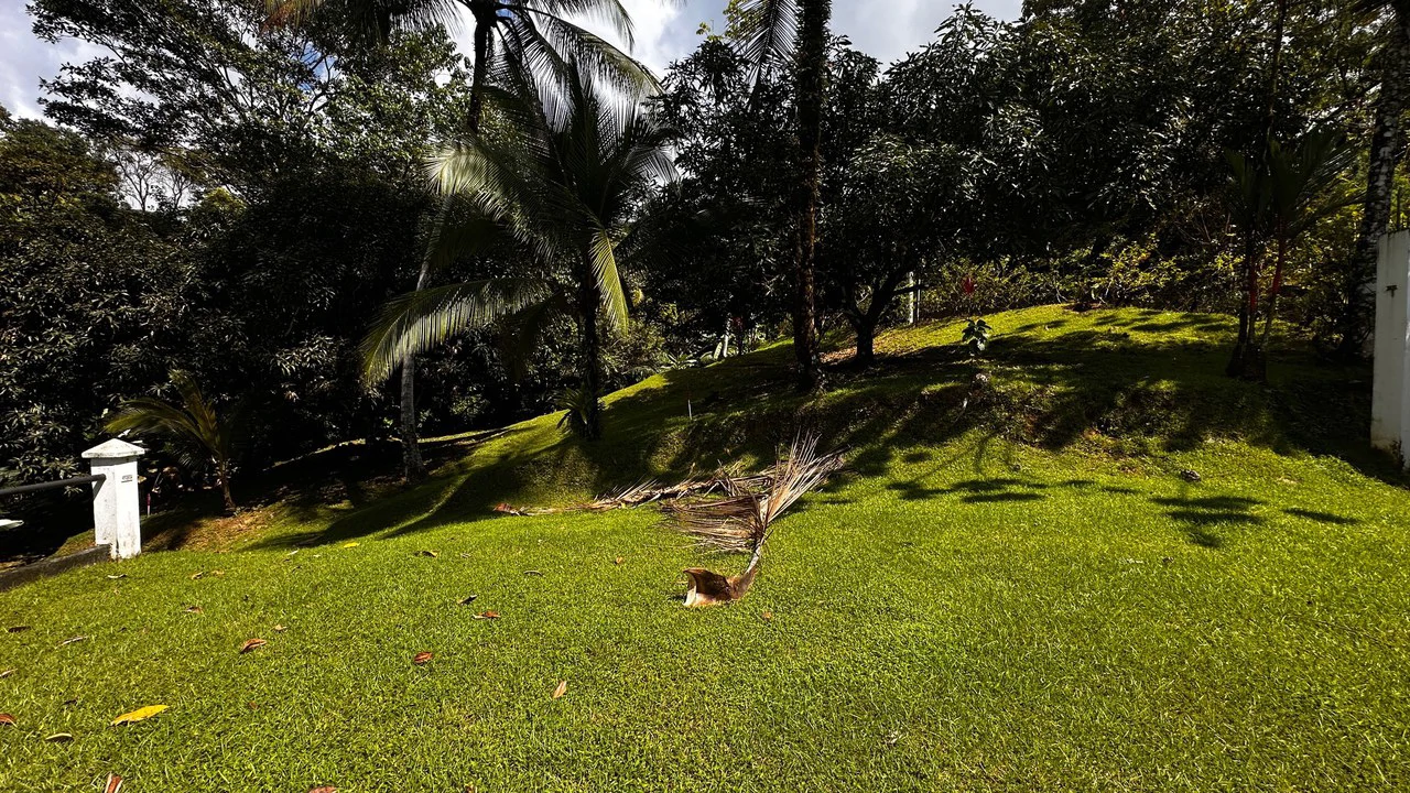 Development Parcel Central Uvita with River! - Gallery image 4