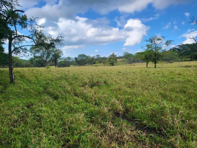 Charming property for sale in Nueva Guatemala with stunning views of the Tenorio Volcano and the beautiful green valleys - Gallery image 11