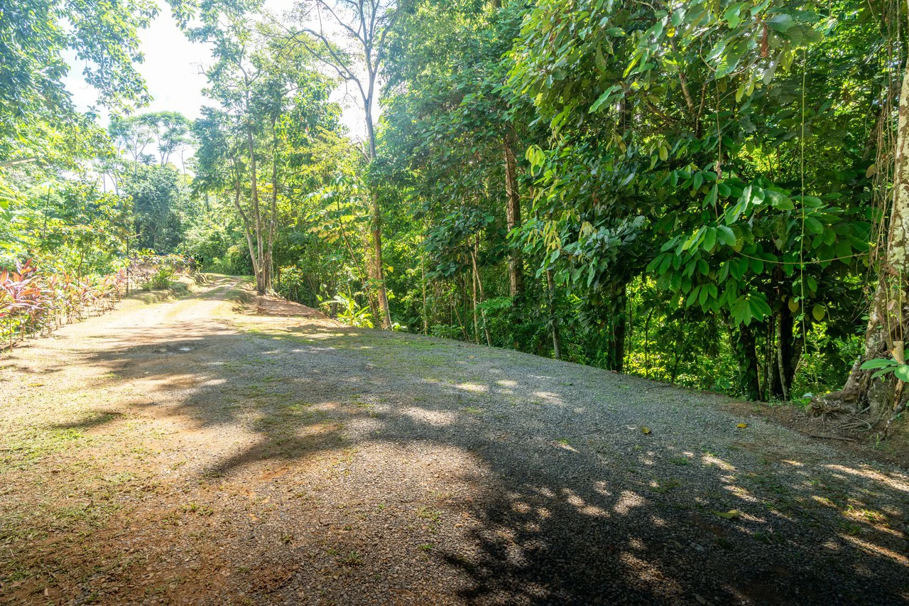Prime Las Brisas: Mountain House For Sale in Uvita - Gallery image 24