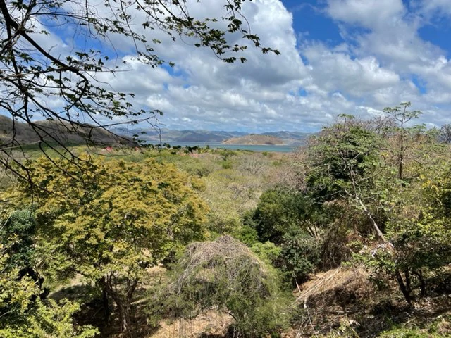Countryside and Near the Coast Home Construction Site For Sale in El Jobo - Gallery image 4