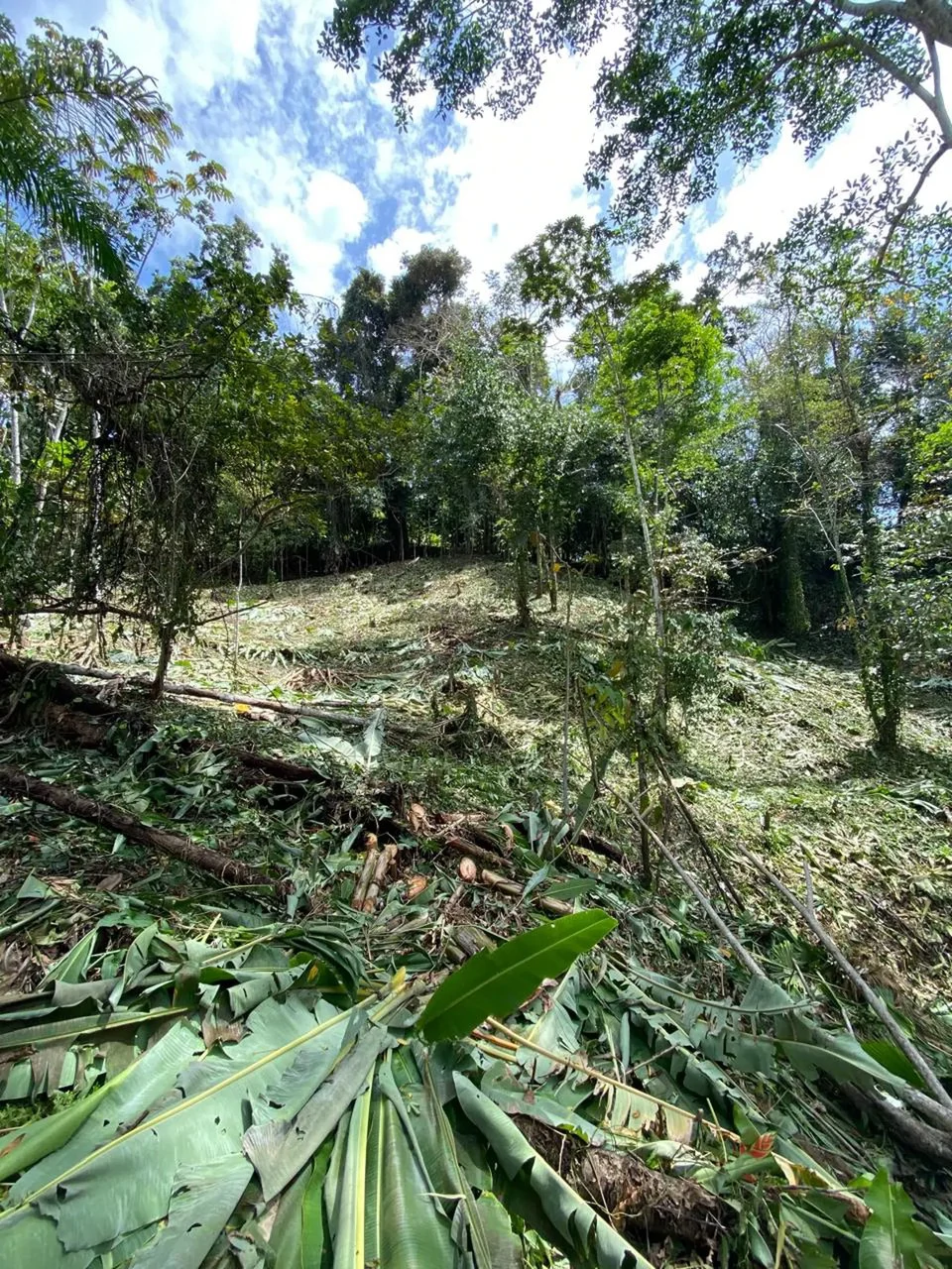 ID 1084: 5,500 sqm Lot with Mountain View in Iriria 1, Punta Uva - Gallery image 2