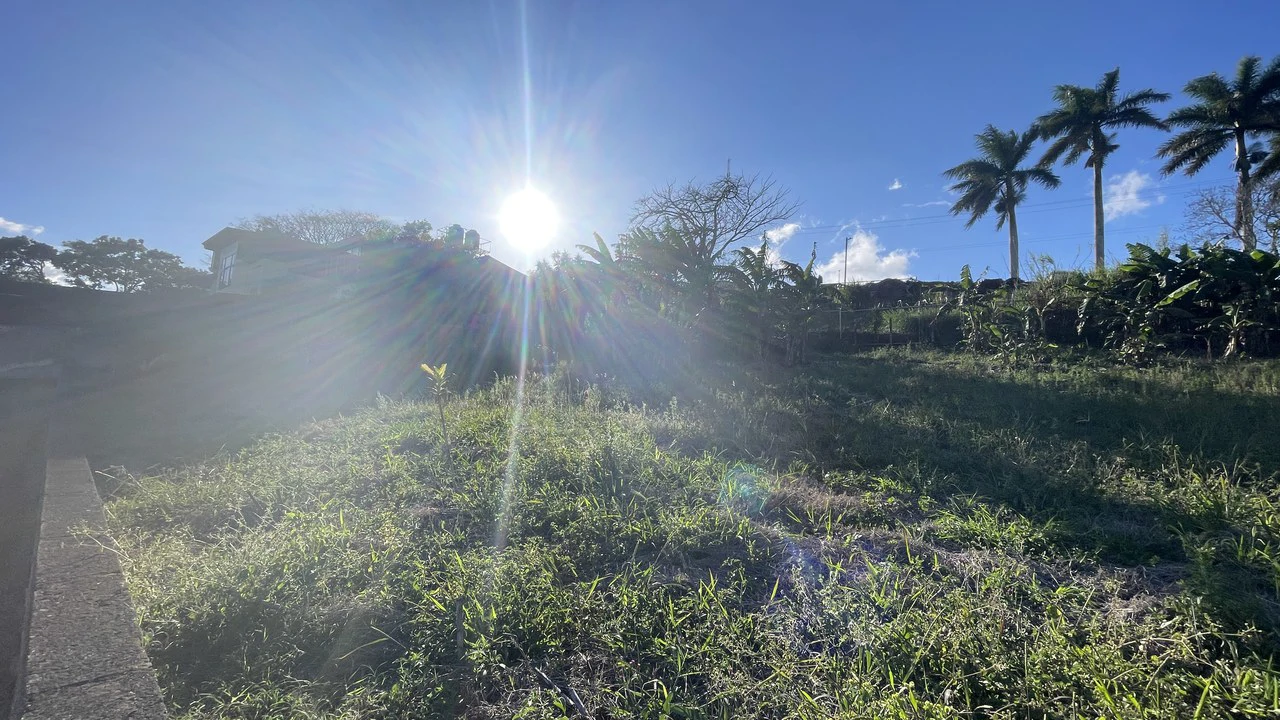 Property for Sale in San Ramón de Alajuela – Strategic Location - Gallery image 10