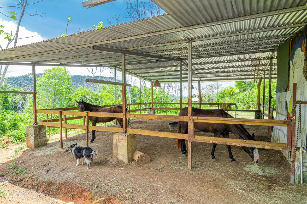 Mountain Mixed Use Building For Sale in Savegre - Gallery image 18