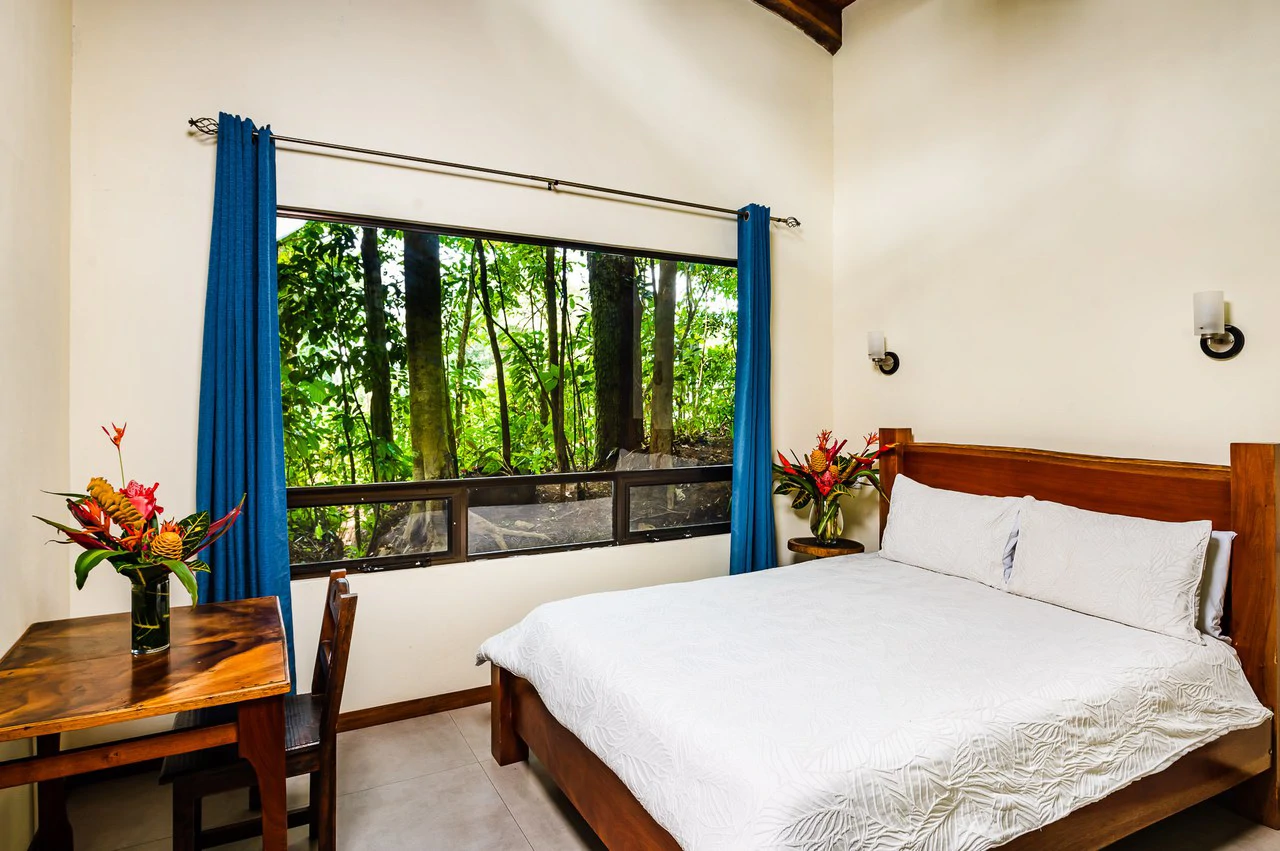 Casitas Tenorio B&B: Turnkey Eco-Lodge in Bijagua: Profitable Business, Sustainable Luxury, and Breathtaking Nature - Gallery image 38