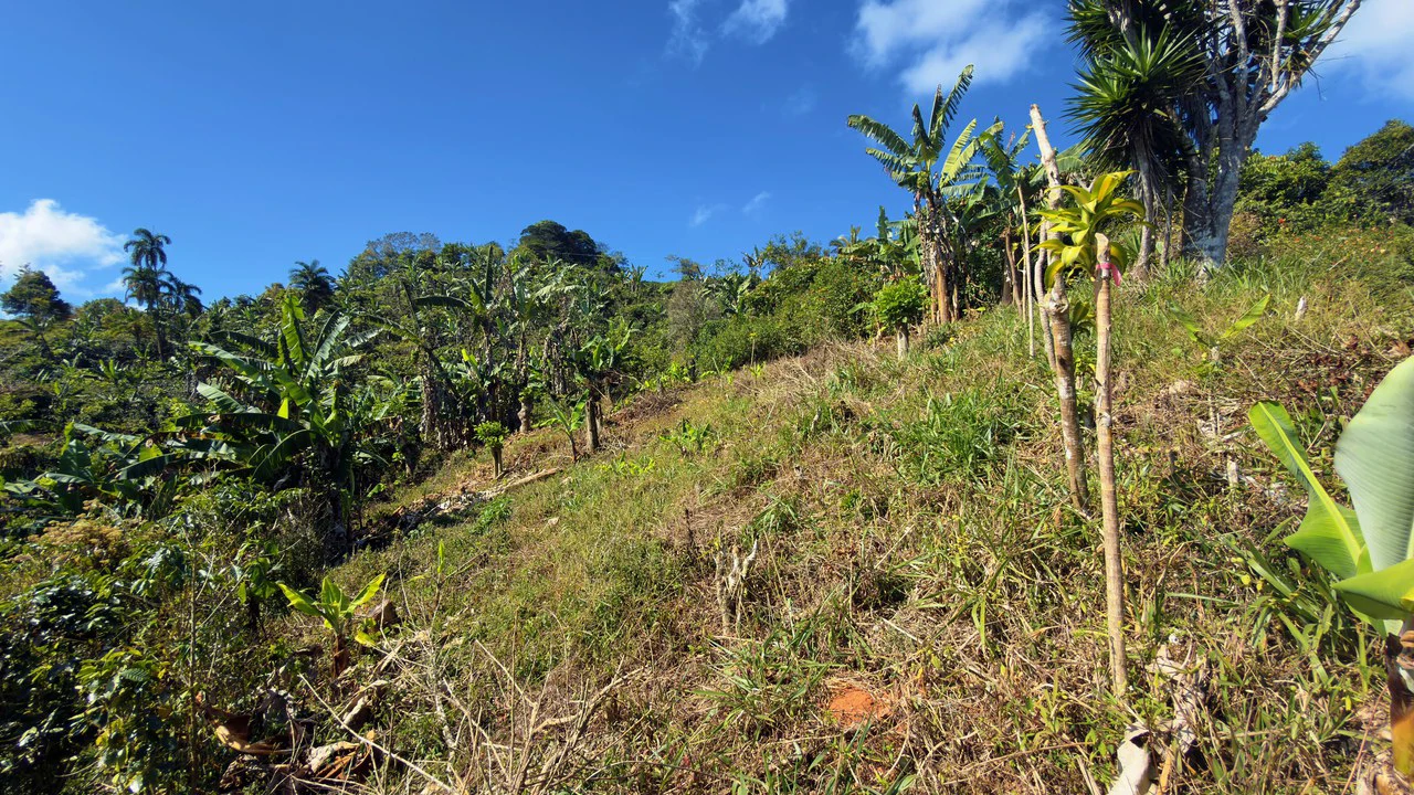 Countryside Home Construction Site For Sale in San Rafael - Gallery image 11