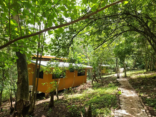 Nosara's Brand New Top Villas as a Business Opportunity in the dense forest of catchment area, 7 villas for sale in Costa Rica's Healthy Blue Zone - Gallery image 8