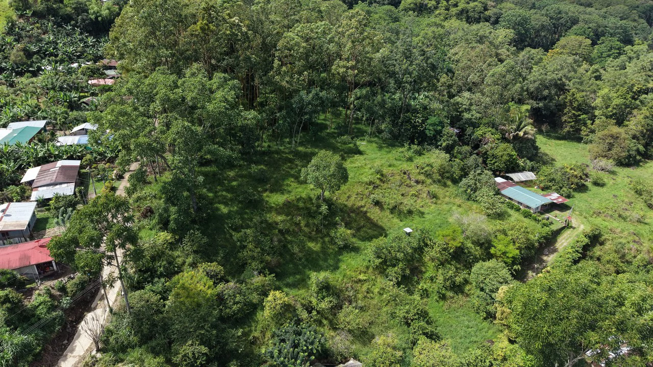 Mountain Home Construction Site For Sale in San Isidro del General - photo 2