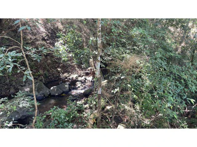 Nature Paradise Farm for sale in the mountains of Quebrada Grande, Building potential property 30 minutes away from Liberia - Gallery image 17